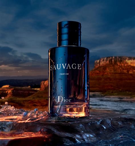 dior sauabge|dior sauvage best price.